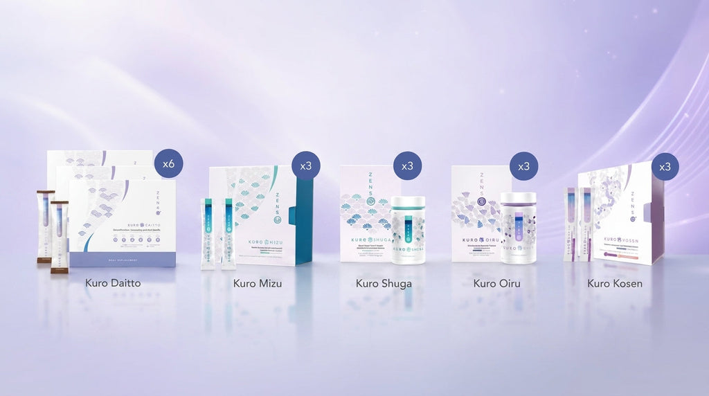The ZENSO 90-Day Reprogram — eighteen boxes across three complete cycles